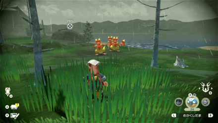 オヤブンブーバーの群れ画像