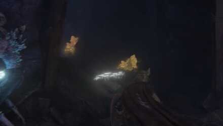 鍛石が採取できる