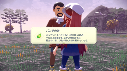 天冠の山麓の風船割りの報酬画像