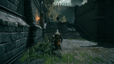 鳥の敵が2匹いる道を直進