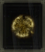 黄金のルーン【12】画像