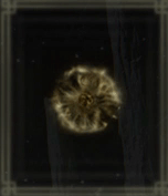 黄金のルーン【7】画像