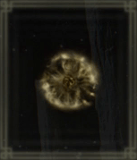 黄金のルーン【8】画像