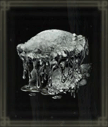 蕩けたキノコ画像