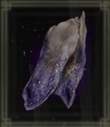 正気の干し白肉画像