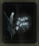 霊姿の墓すずらん【2】画像