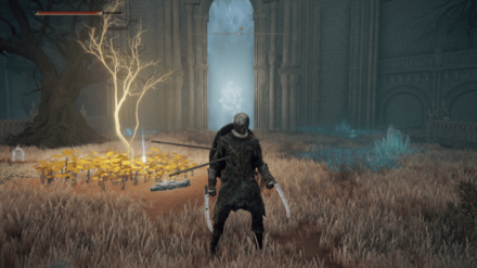 黄金の種子の場所