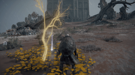 黄金の種子の場所