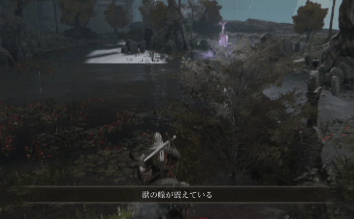 死の根を集めるアイテム「獣の瞳」をくれる