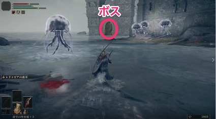 獅子の混種入口