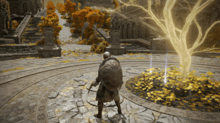 黄金の種子の場所