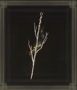 犠牲の細枝画像