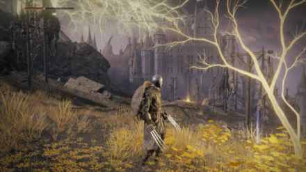 黄金の種子の場所