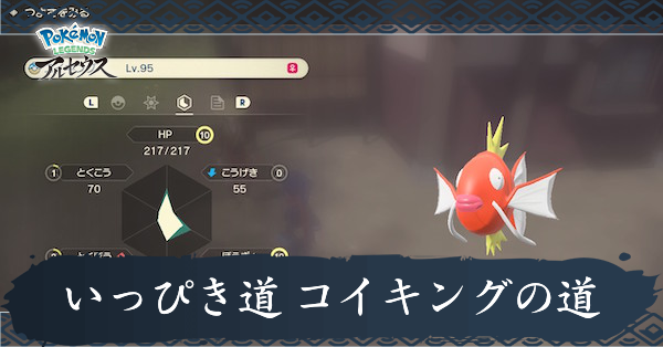 いっぴき道 コイキングの道攻略