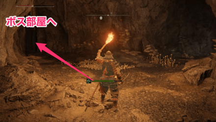 霊廟ヶ原の洞窟③