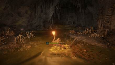 毒沼でローリング回避をしない