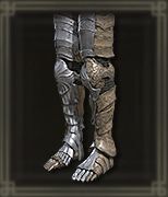 双児の足甲画像