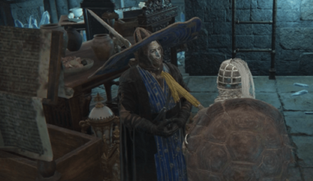 ラニの魔術師塔でラニに仕える