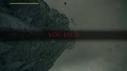 背面の蝶に釣られないように