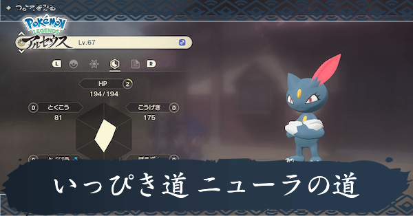 いっぴき道ニューラの道攻略