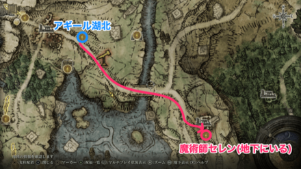 セレンがいるばしょのマップ