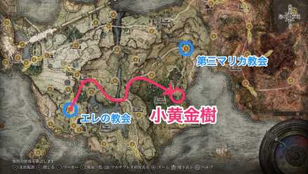 小黄金樹(リムグレイブ)画像