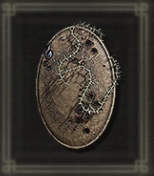 蝕まれた革盾画像