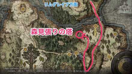 森見張りの塔画像