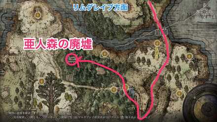 亜人森の廃墟画像