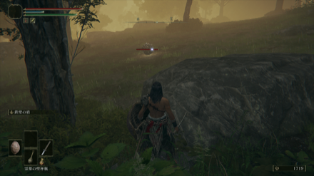 リムグレイブのスカラベ