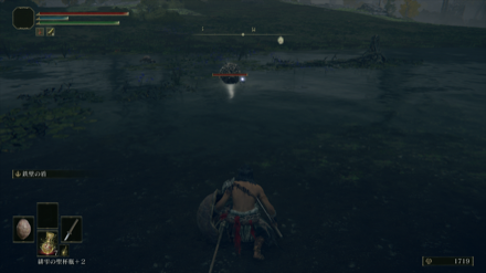 リムグレイブのスカラベ