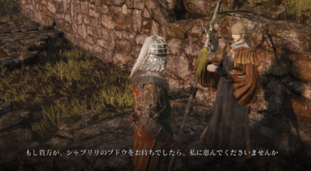 シャブリリのブドウ1の場所