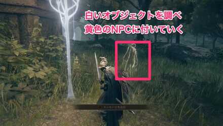 穴下りの洞窟：NPCに付いていくと穴下りの洞窟までの道が分かる