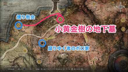 小黄金樹の地下墓画像