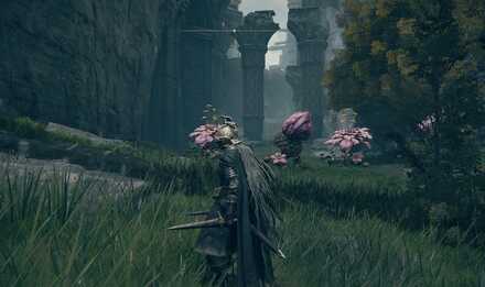 モーンの坑道：谷底の花を目印に