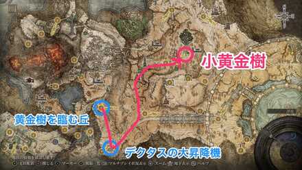 小黄金樹(アルター高原)画像