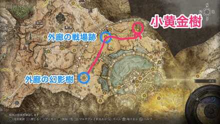 小黄金樹(王都ローデイル)画像