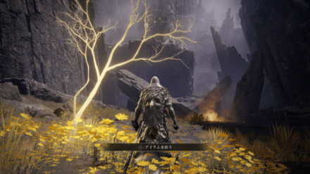 黄金の種子の場所