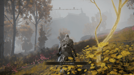 黄金の種子の入手場所マップ