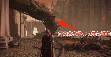 木を登って先に進む