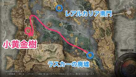 小黄金樹(リエーニエ西部)画像