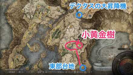 小黄金樹(リエーニエ東部)画像