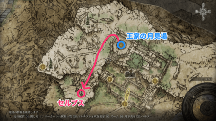 魔術教授セルブスマップ