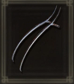 猛禽の鉤爪画像