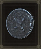 クラゲの盾画像