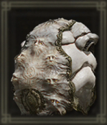 神肌の貴種ローブ画像