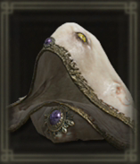 神肌の貴種フード画像