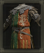 大樹と獣のサーコート画像