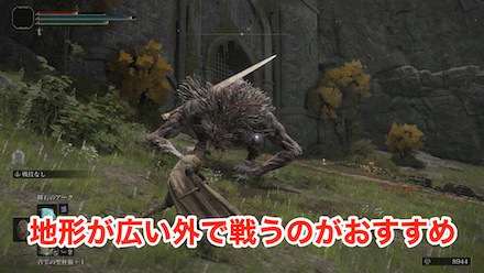 巨人と戦う星見