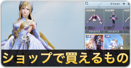 ショップで買えるもの